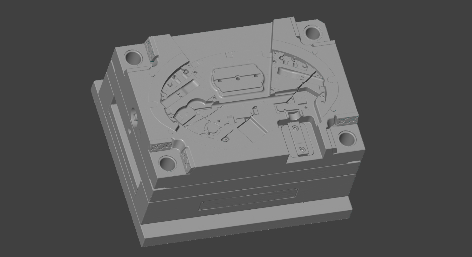 Imaginea modelului scanat (MESH)